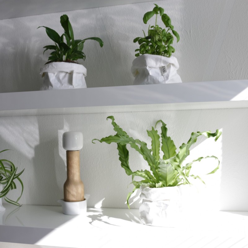 Ruokailutilan seinähyllyt ja kasvit auringossa - Omakotivalkoinen sisustusblogi