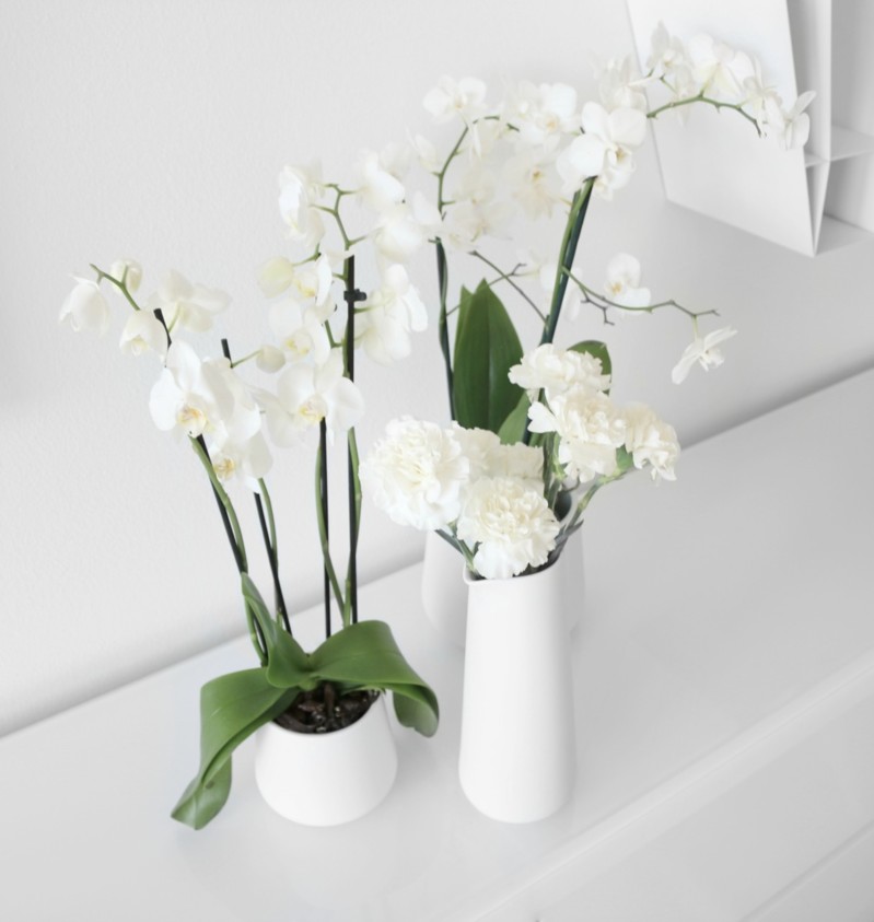 Edulliset markettikukat - Valkoiset neilikat ja orkideat posliinipurkeissa Sisustusvinkit Omakotivalkoinen