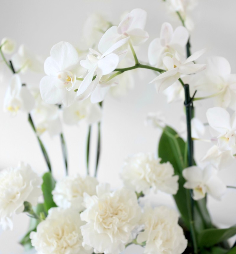Edulliset markettikukat - Valkoiset neilikat ja orkideat posliinipurkeissa Sisustusvinkit Omakotivalkoinen