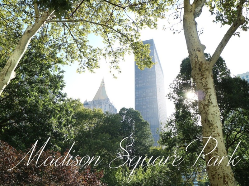 Madison Square Park maisemia ja Shake Shack kokemuksia New Yorkista