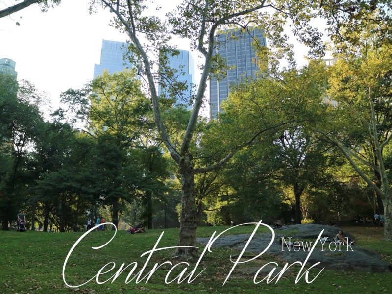 Central Park New York maisemakuvia