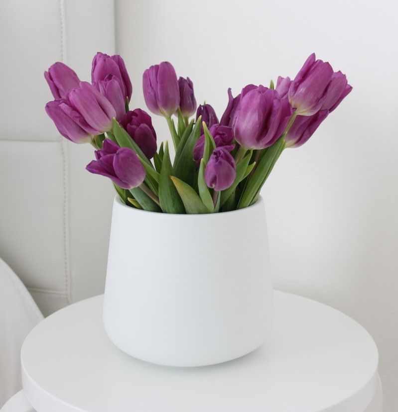 Violetit tulppaanit ja valkoinen sisustus - Omakotivalkoinen