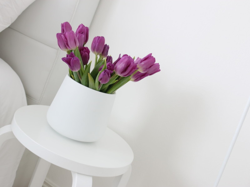 Violetit tulppaanit ja valkoinen sisustus - Omakotivalkoinen