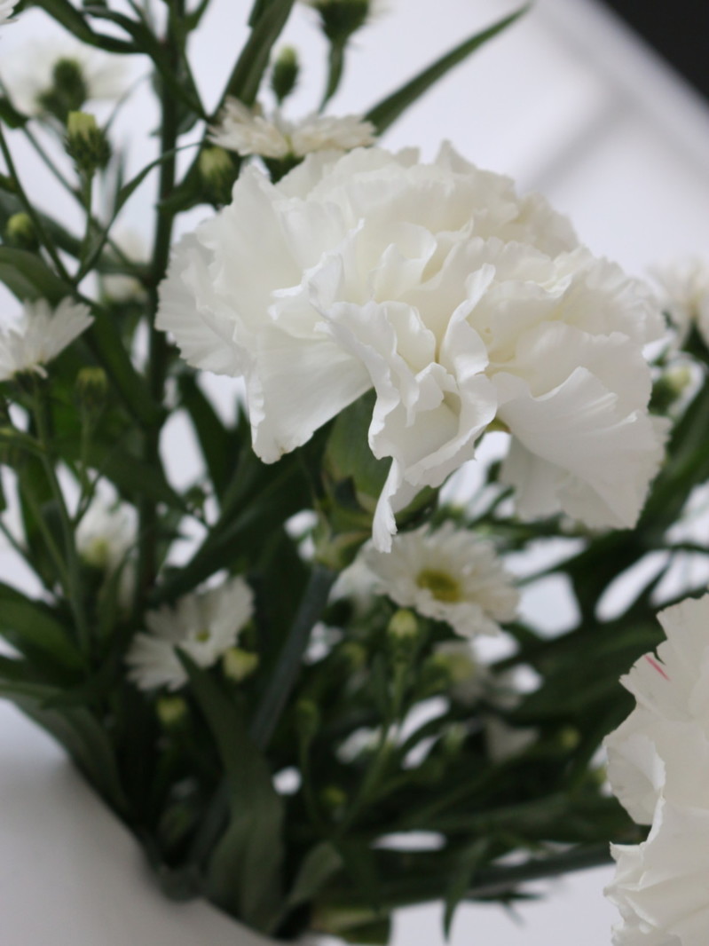 Cooee Design Ball pallomaljakko valkoinen ja kaunis kukkakimppu - Sisustusblogi Omakotivalkoinen