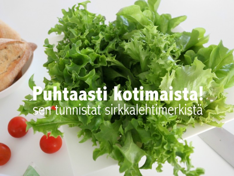 Puhtasti Kotimaista - Tervellisiä suomalaisia vihanneksia ja kasviksia Omakotivalkoinen
