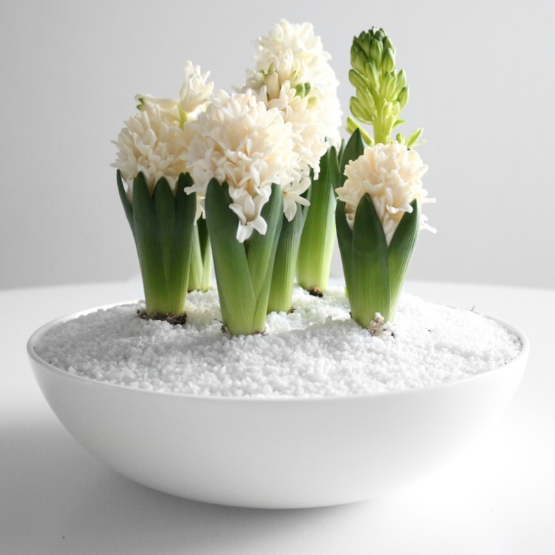 Edullinen valkoinen koristehiekka ruukun pinnalle ja koristuksiin