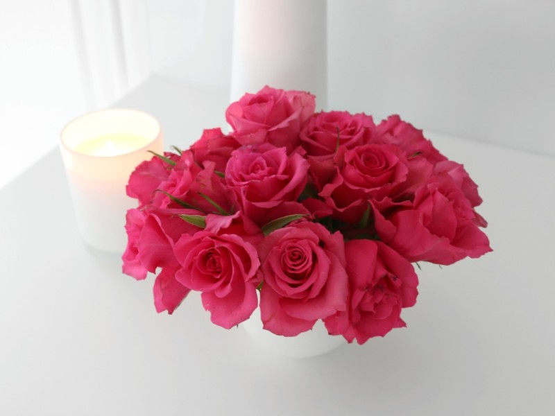 Reilun Kaupan ruusut pinkit kukat - Omakotivalkoinen