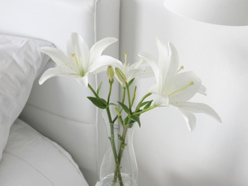 Omakotivalkoinen valkoiset liljat ja siivousmotivaatiota