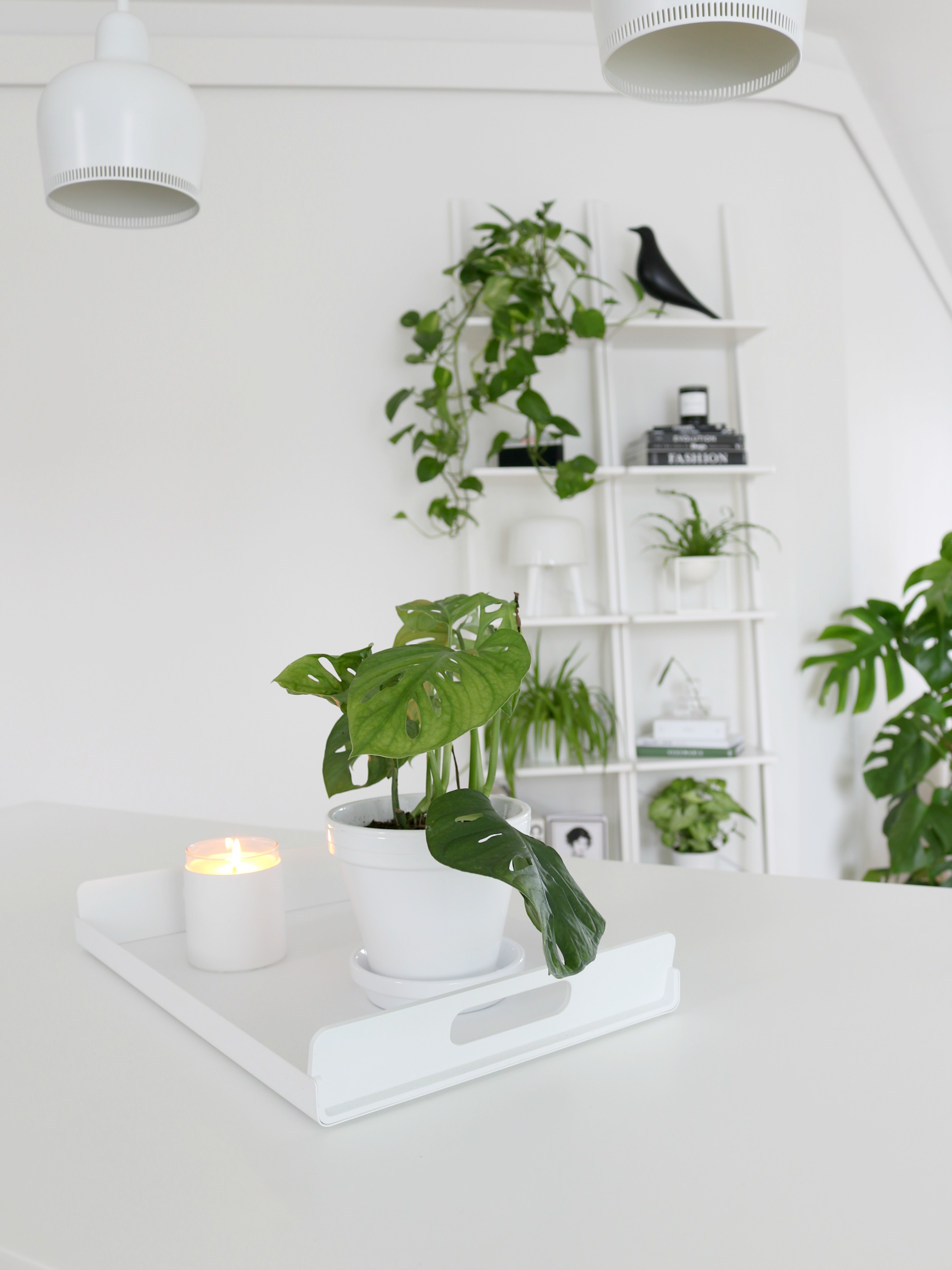 Omakotivalkoinen valkoinen keittiö minimalistinen sisustus skandinaavinen koti vihersisustus