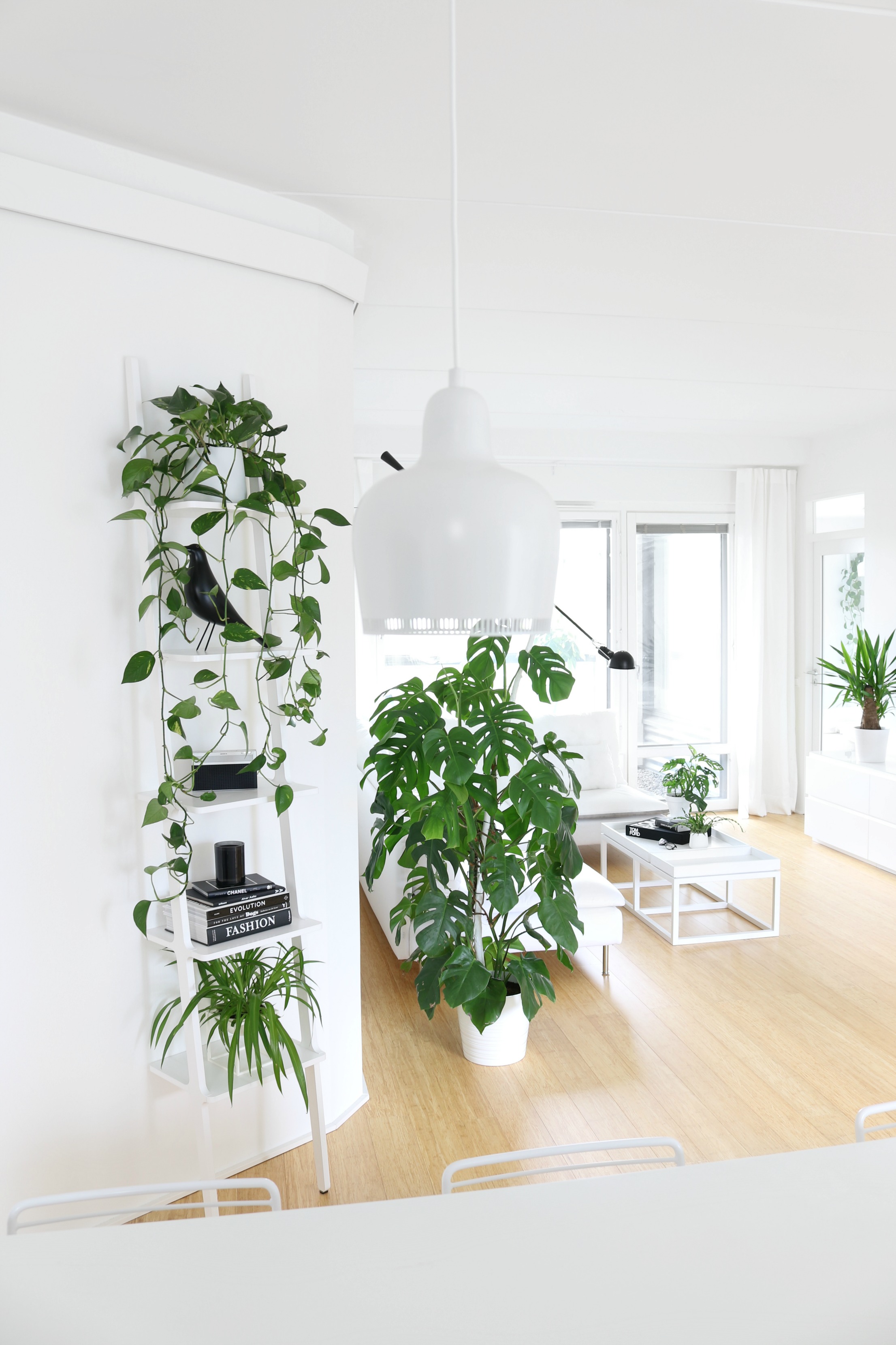 Siisti ja raikas koti - Valkoinen minimalistinen sisustus