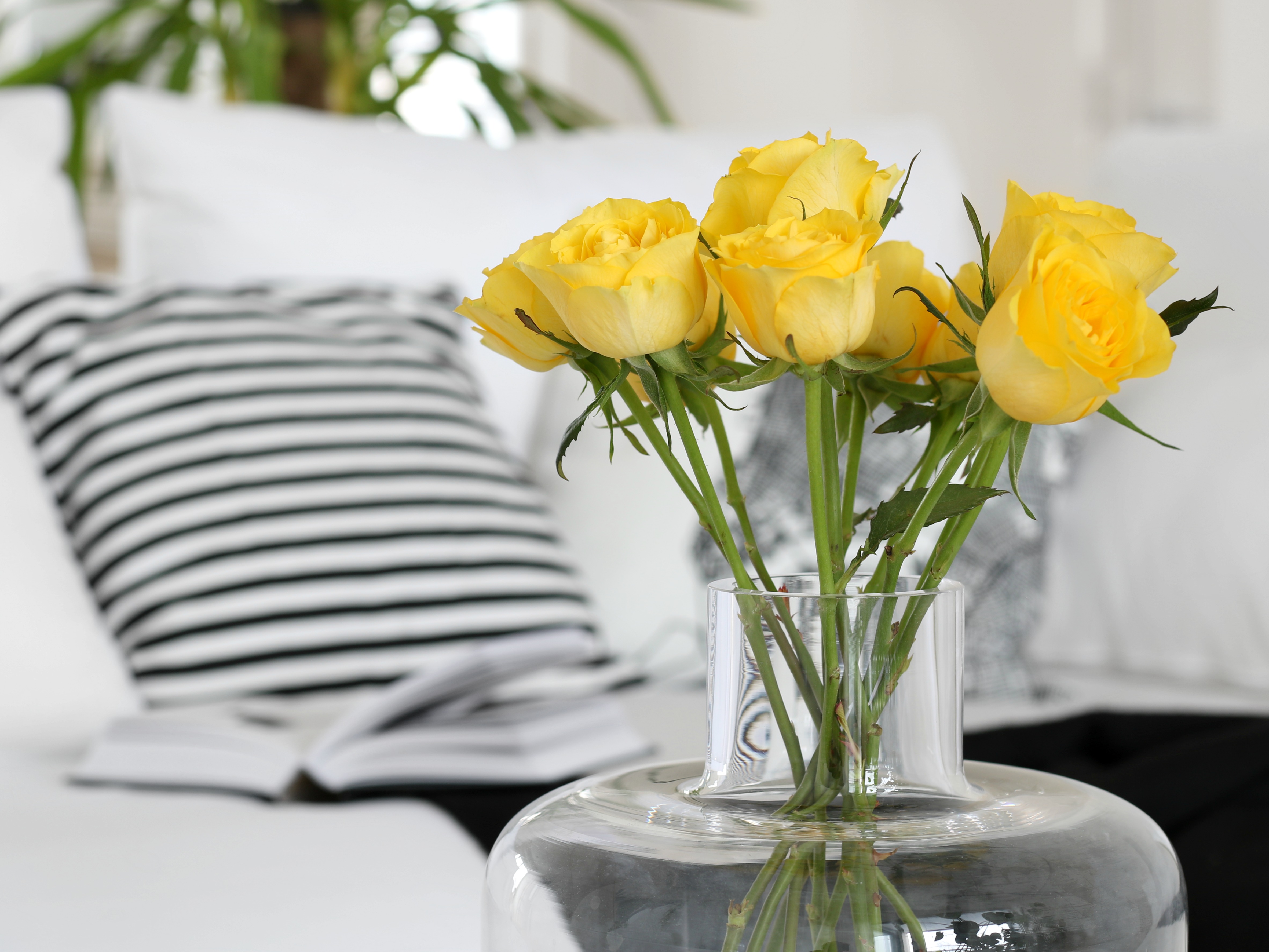 Skandinaavinen sisustus olohuone mustavalkoinen keltaiset ruusut omakotivalkoinen