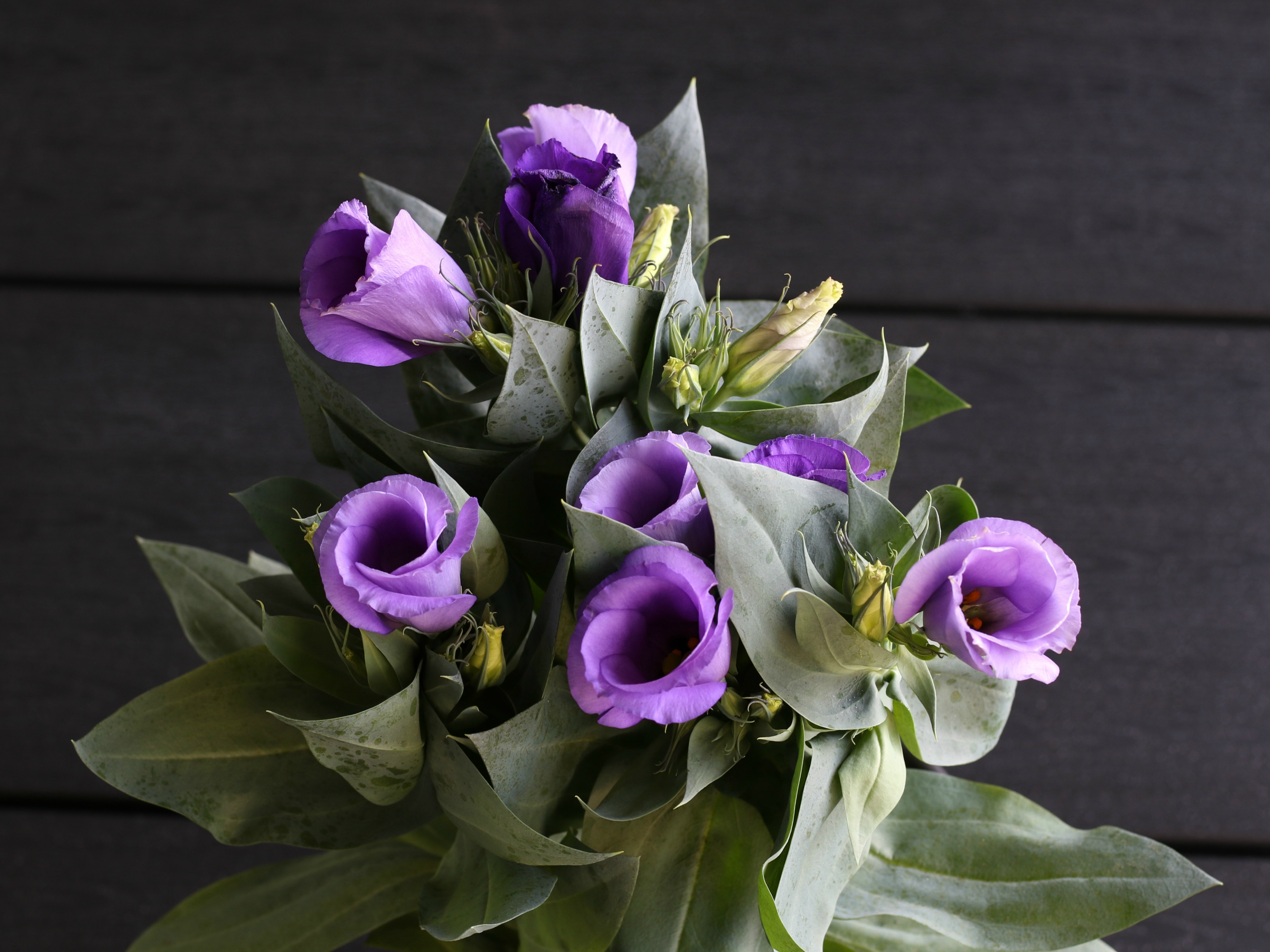 5 värin somehaaste sisustusväri violetti omakotivalkoinen sisustusinspiraatio