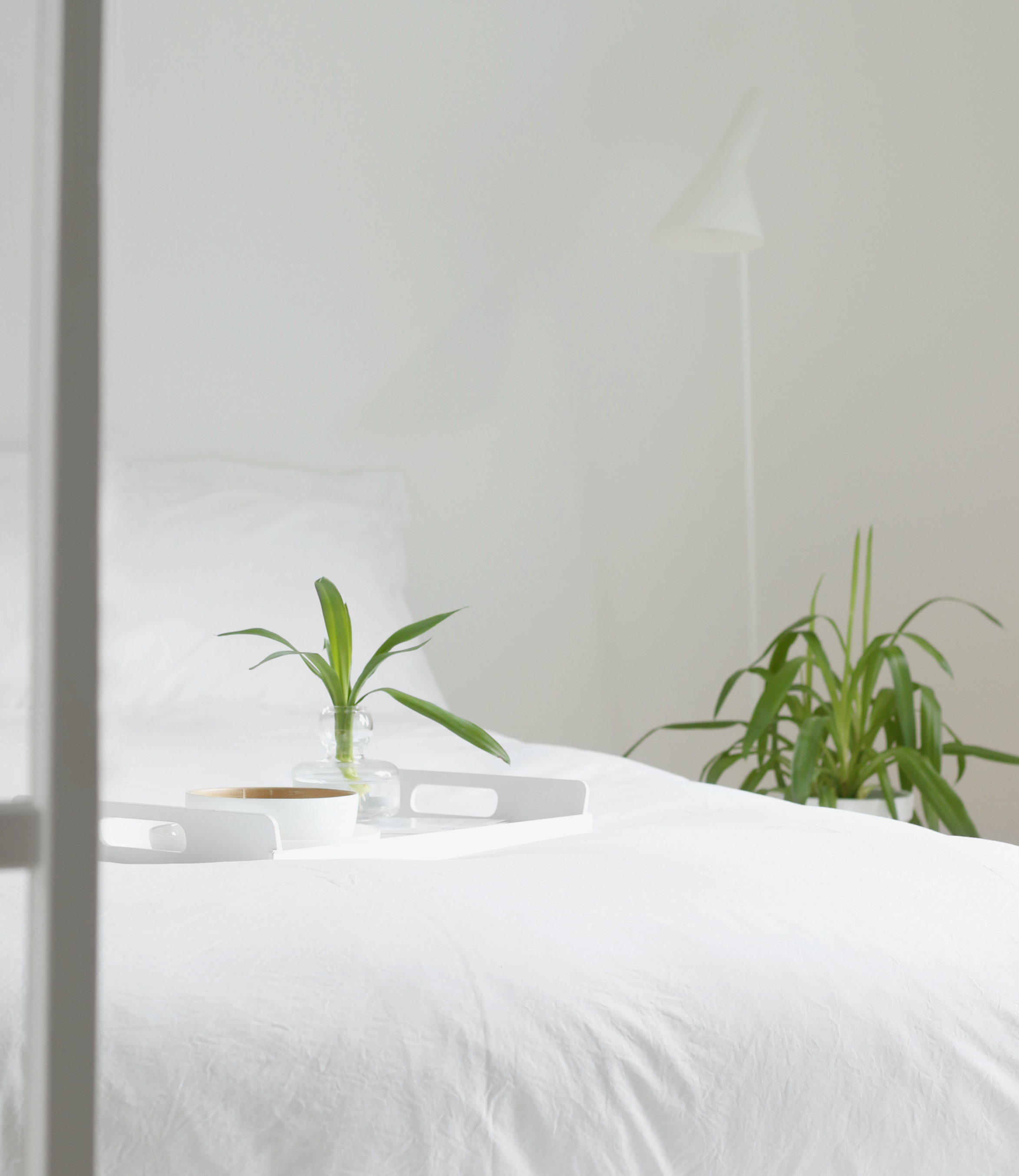 Alessi Vassily tarjotin Omakotivalkoinen