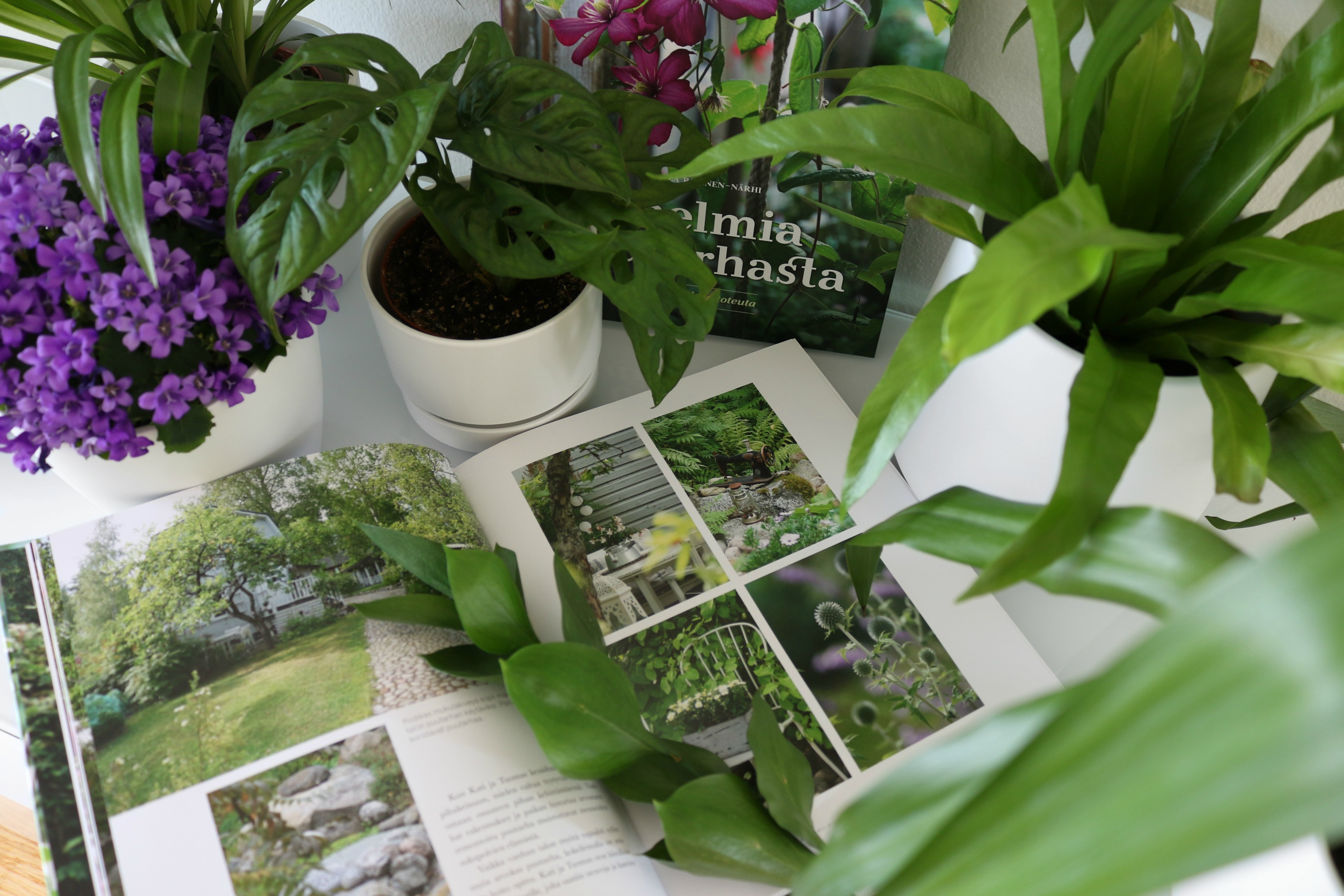 Unelmia puutarhasta kirjavinkki vihersisustus sisustusblogi Omakotivalkoinen blogiarvonta Docendo