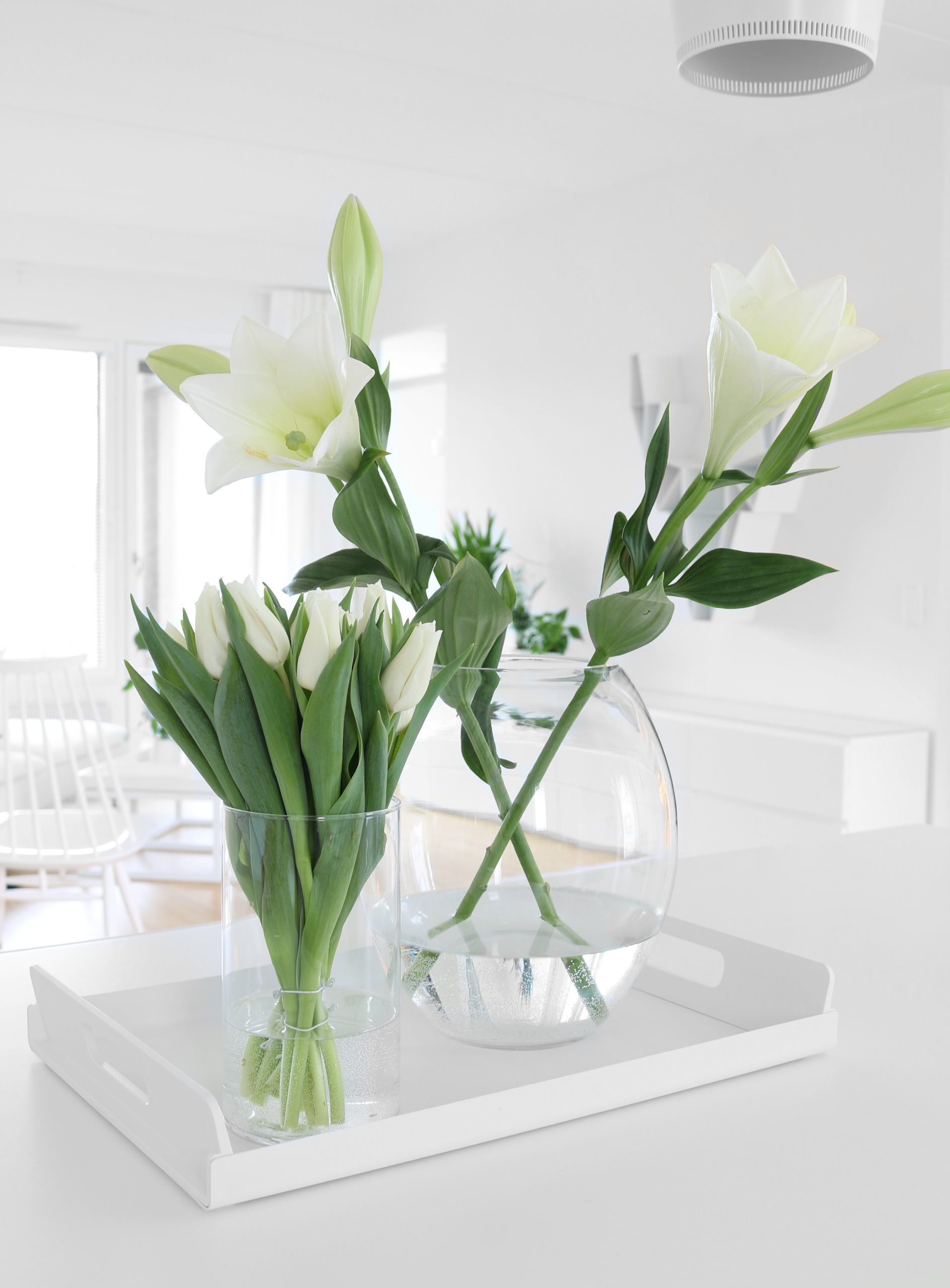 Valkoiset liljat ja tulppaani - Siivouspäivän kuulumisia Omakotivalkoinen