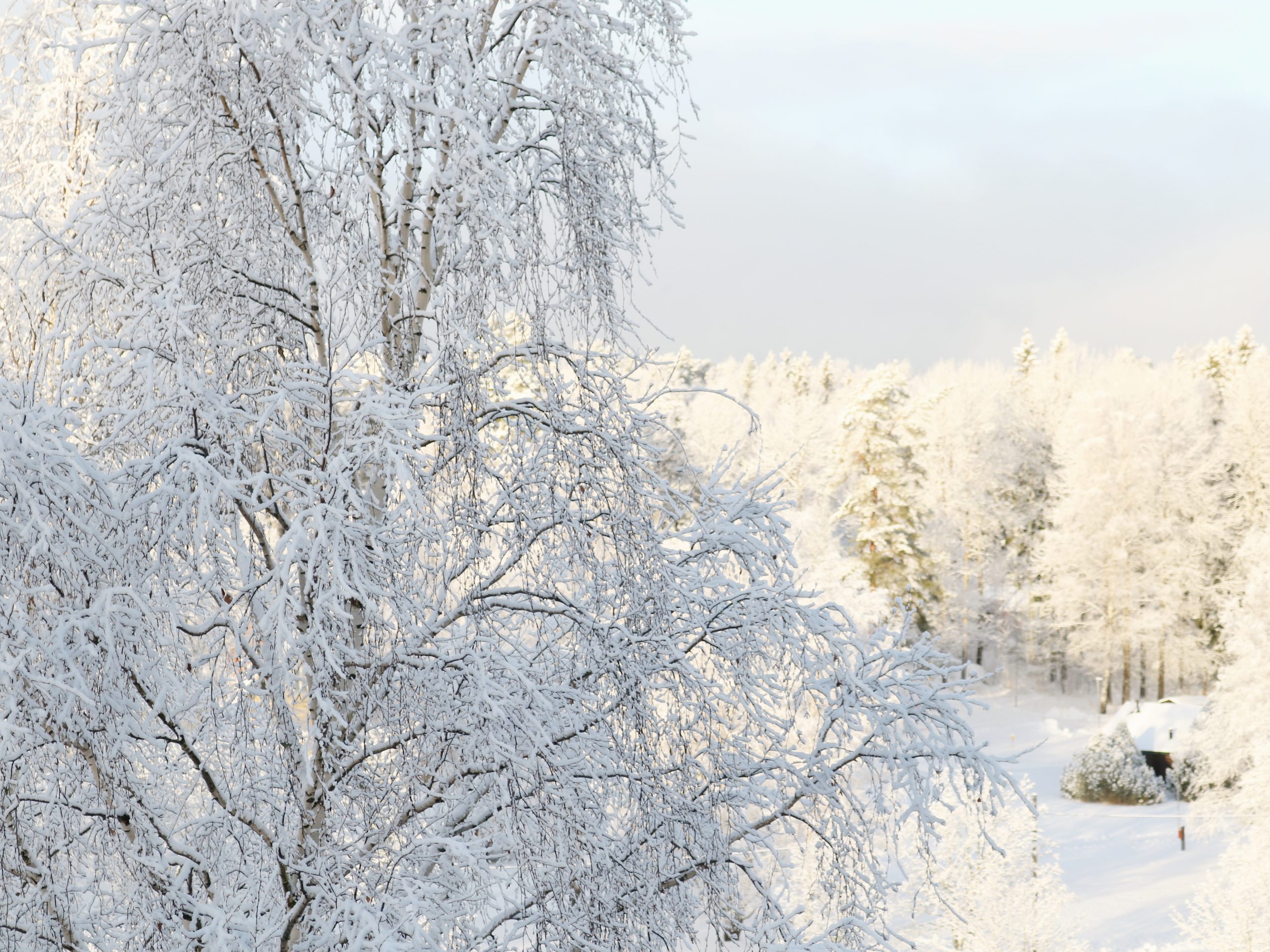 Satumaisen luminen maisema Helsingissä - Omakotivalkoinen maisemakuvaus