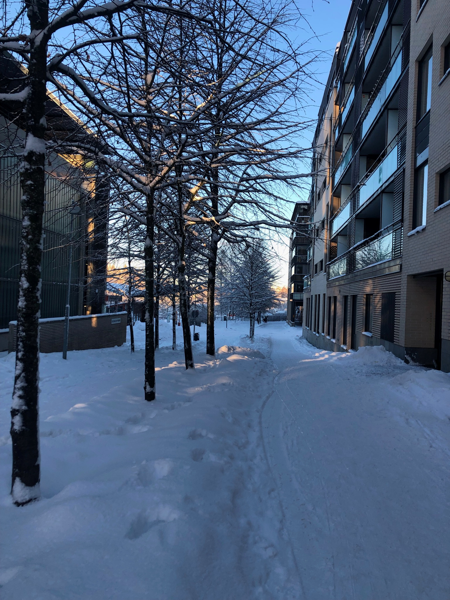 Luminen sininen hetki ja kauniit kinokset maisemakuvat