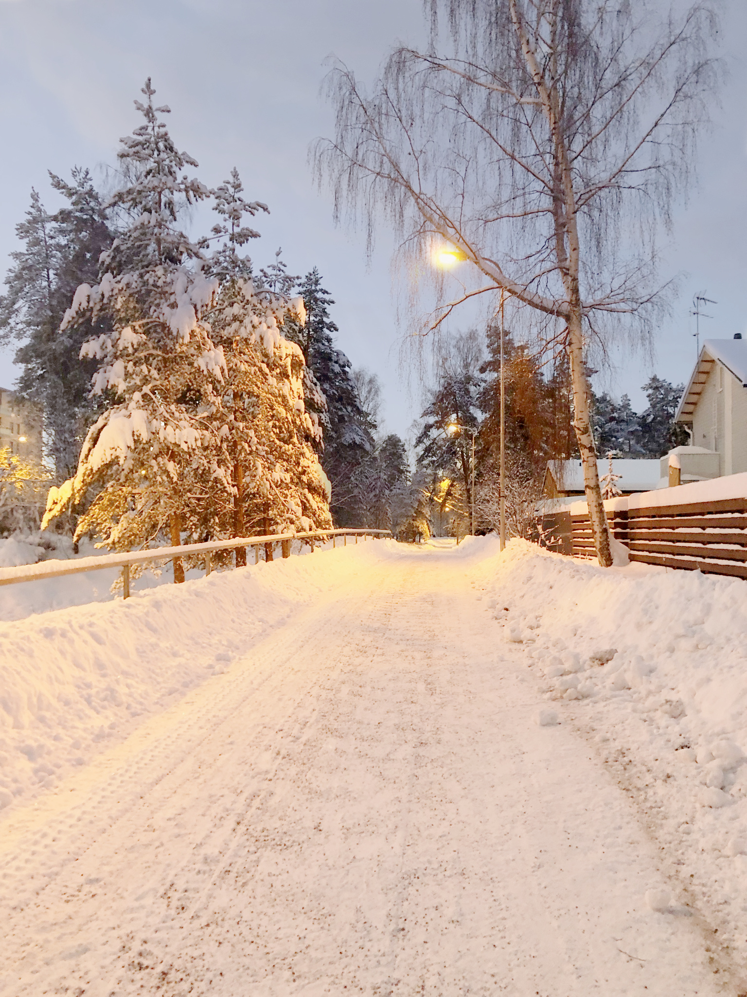 Aamulenkki pakkasessa Omakotivalkoinen