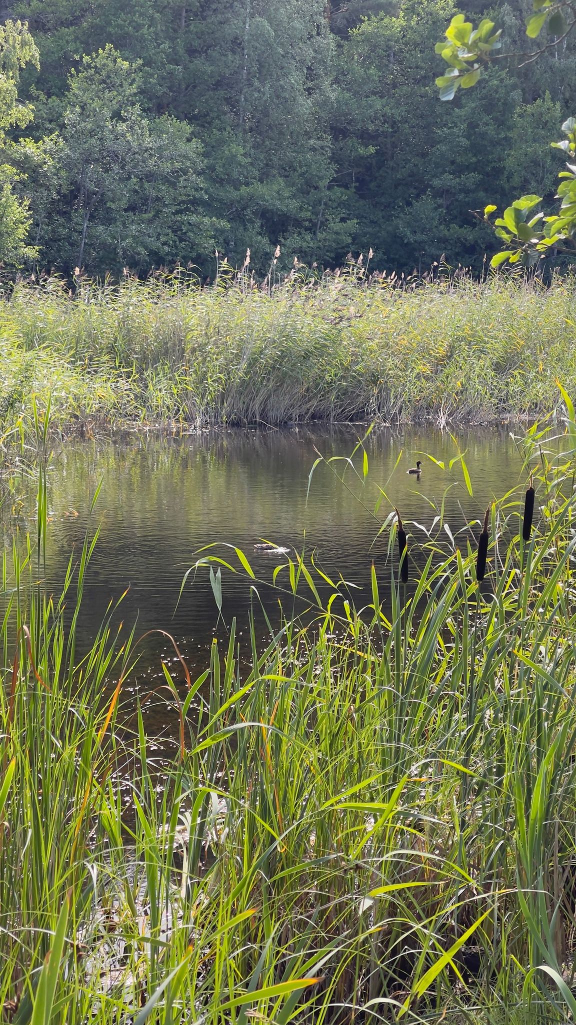 Uutelan upeat merimaisemat