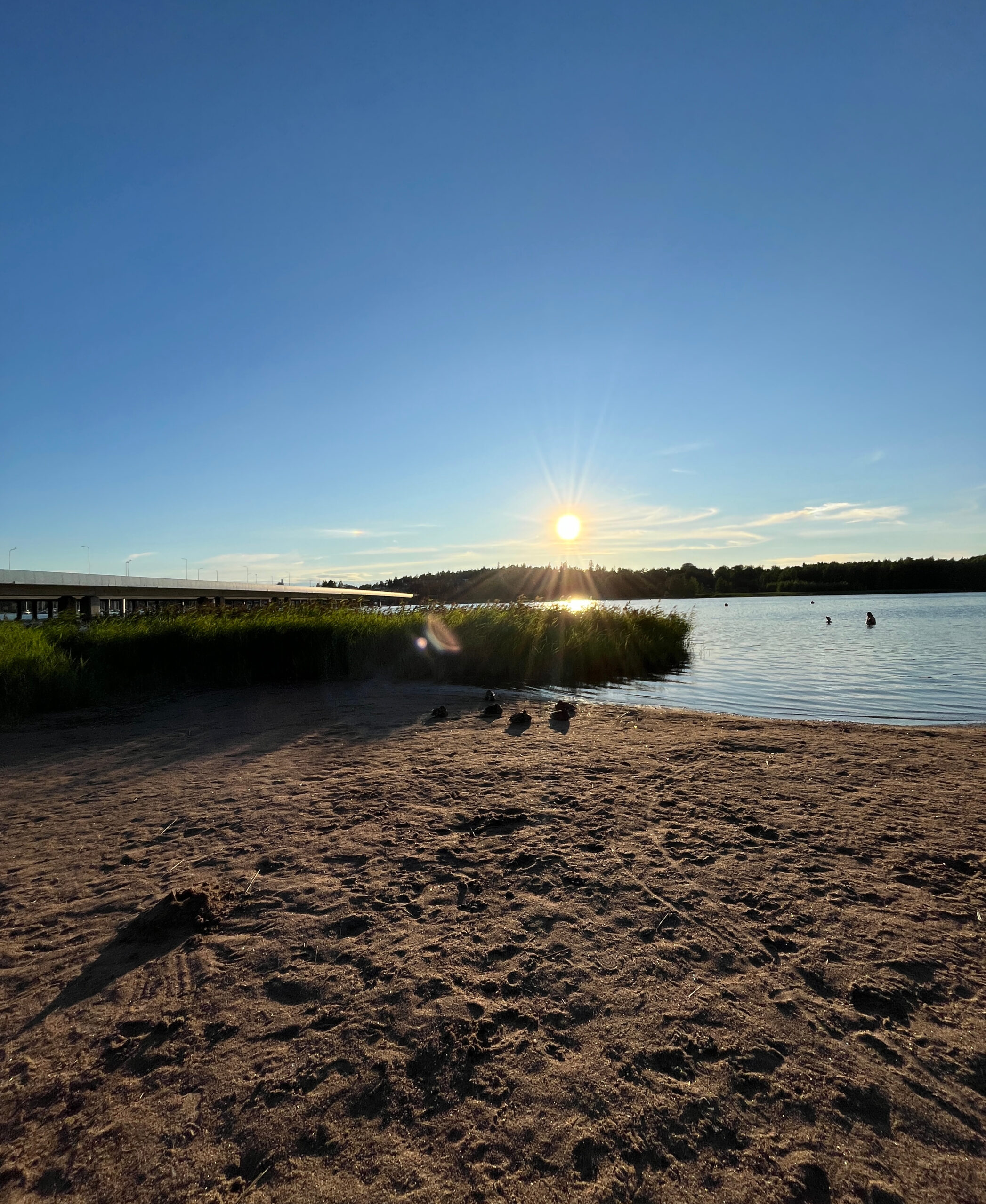 Kesäinen merellinen maisema