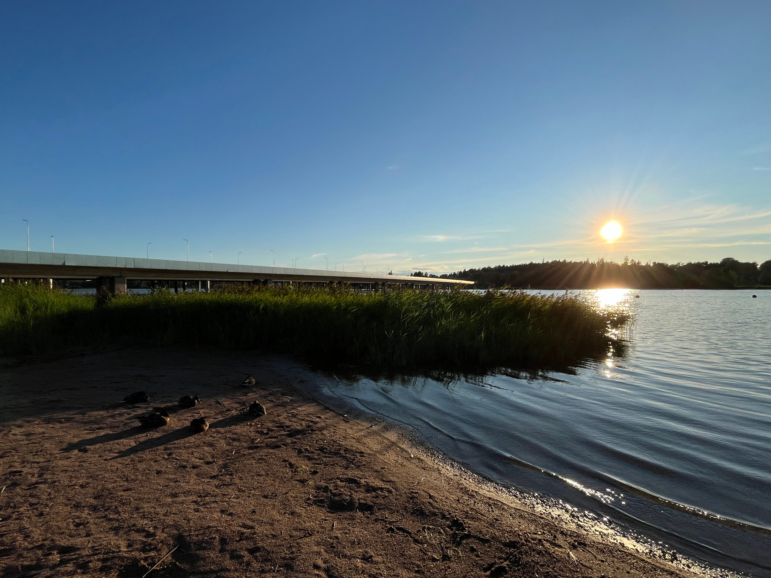 Kesäinen merellinen maisema