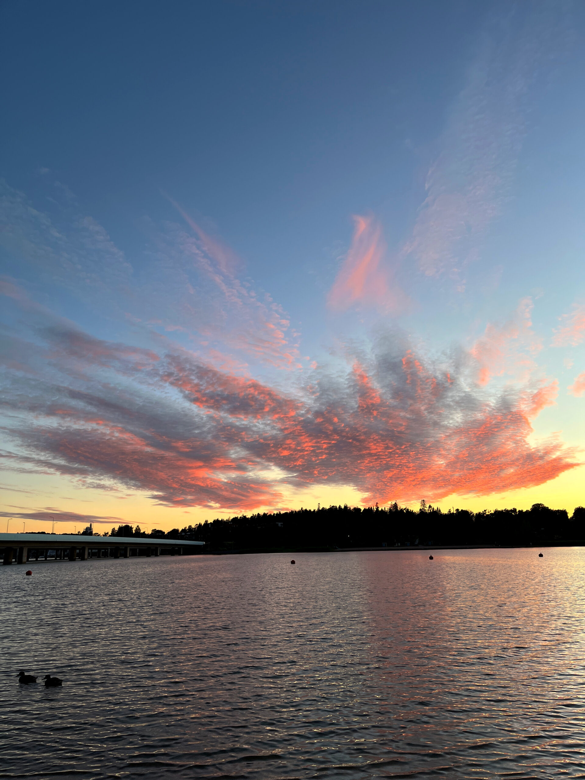 Juhannustunnelmaa kaupungissa