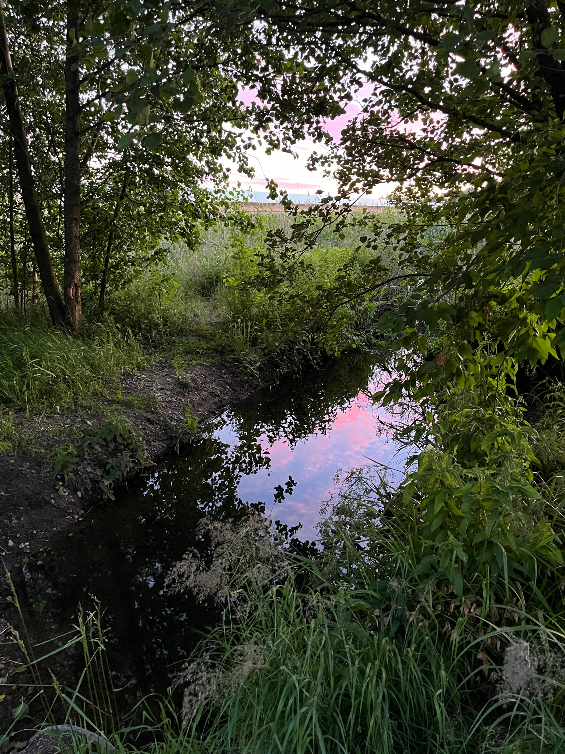 Juhannustunnelmaa kaupungissa