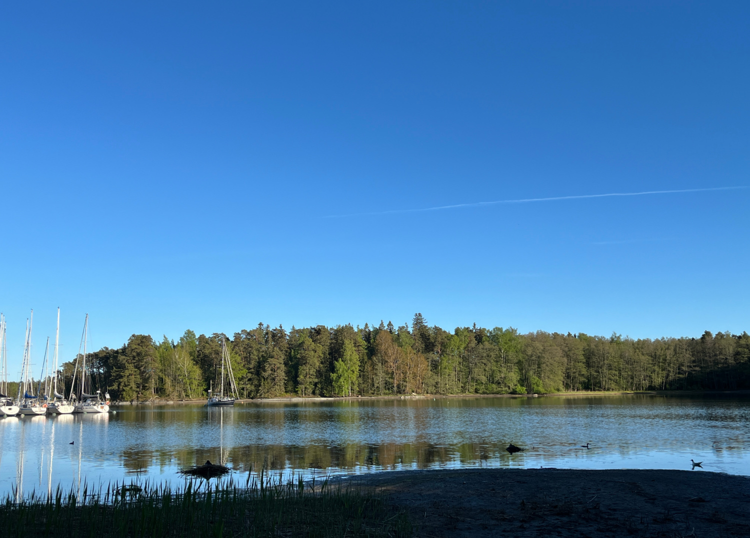 Kesäpäivät kaupungissa - Itä-Helsingin kauneutta